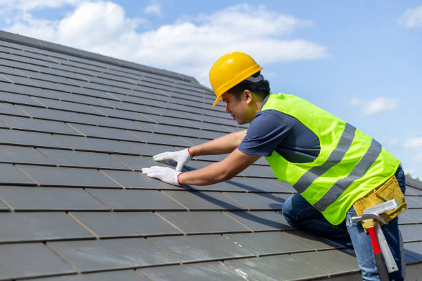 Best Chimney Flashing Repair  in Palmview South, TX