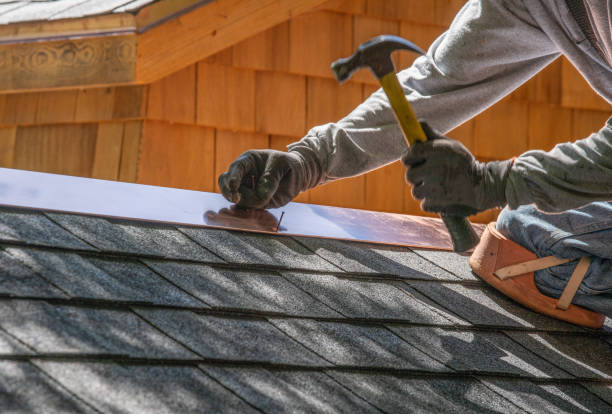 Best Chimney Flashing Repair  in Palmview South, TX