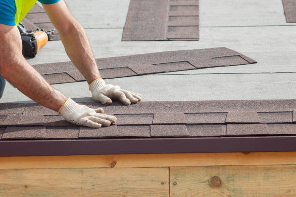 Best Sheet Metal Roofing  in Palmview South, TX